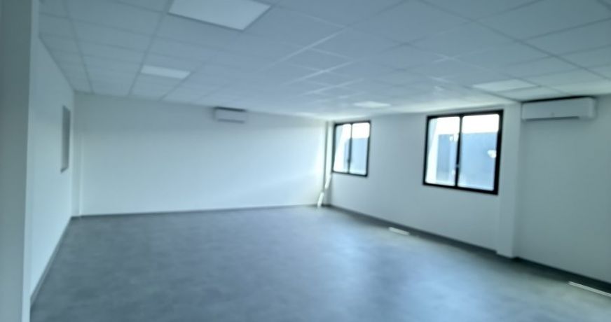 location Entrepot Cugnaux