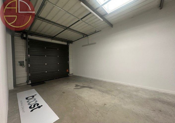 location Entrepot Montrabe