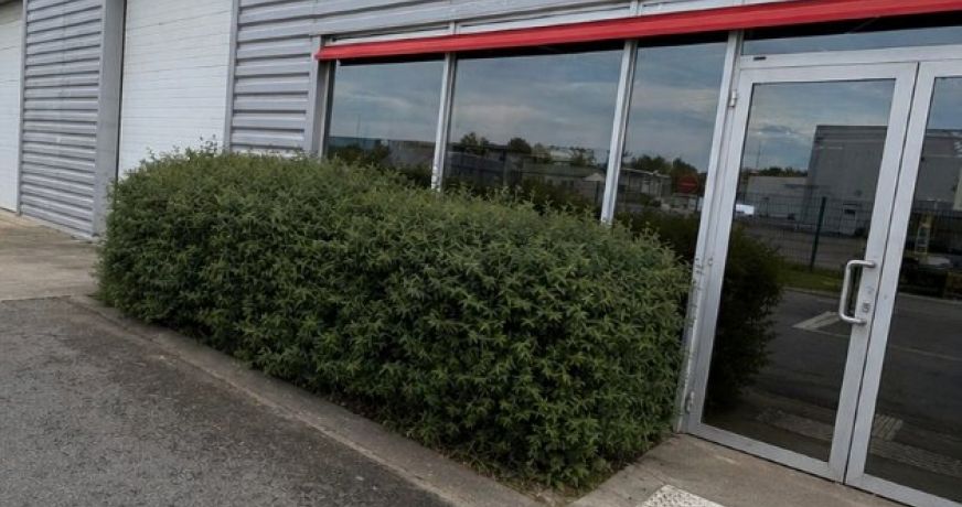 location Entrepot Toulouse