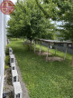 location Bureau Montrabe