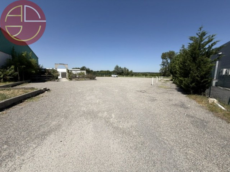 vente Entrepot Beauzelle - Photo 8