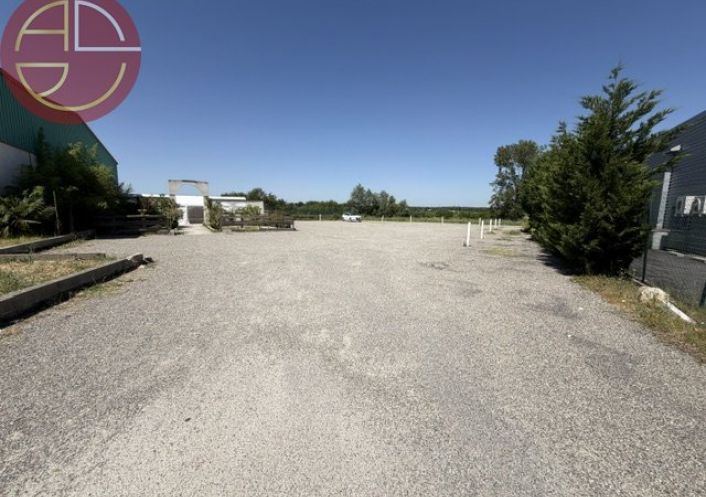 vente Entrepot Beauzelle