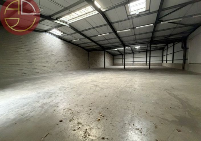 location Entrepot Fenouillet