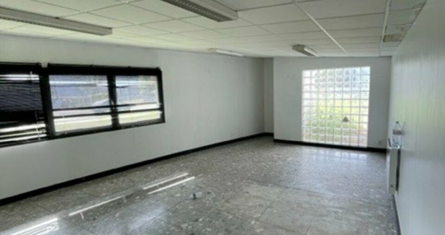 location Entrepot Montauban