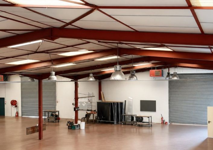 location Entrepot Plaisance-du-touch