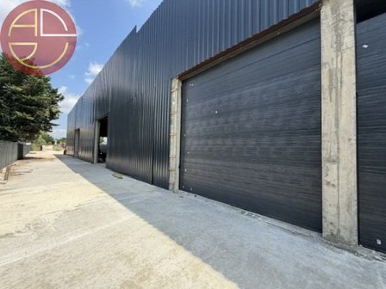 location Entrepot Fenouillet - Photo 5