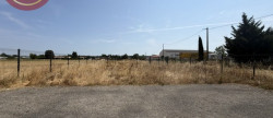 vente Entrepot Saint-jory