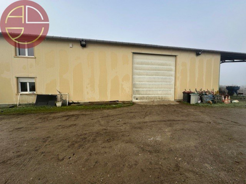 vente Entrepot Saint-jory - Photo 9