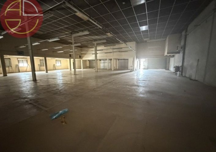 location Entrepot Toulouse