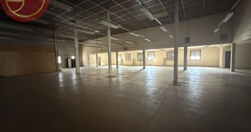 location Entrepot Toulouse