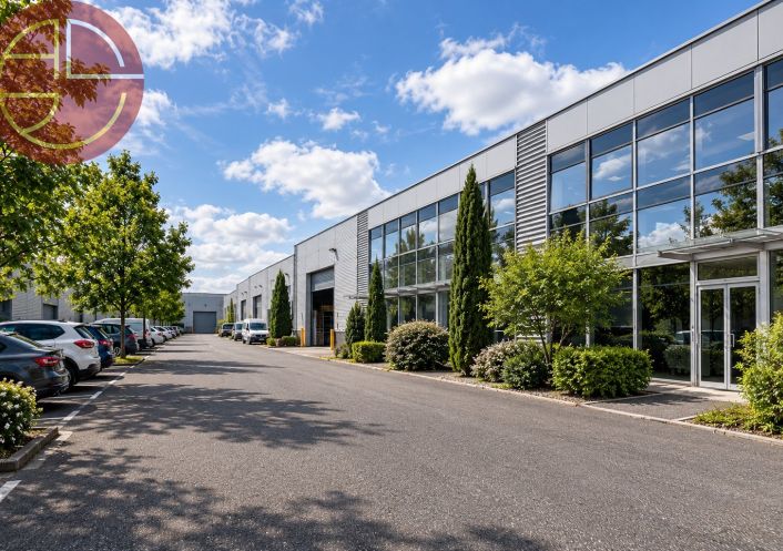 location Entrepot Toulouse