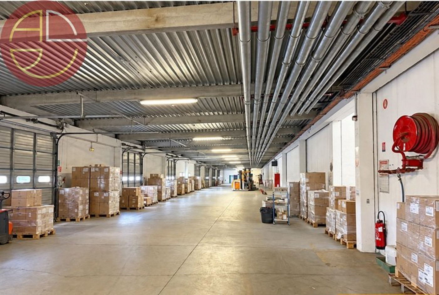 location Entrepot Grisolles - Photo 1