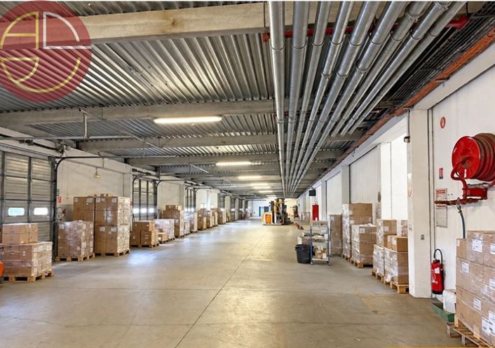 location Entrepot Grisolles