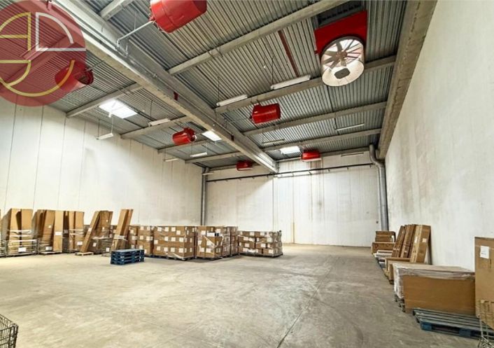 location Entrepot Grisolles