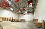 location Entrepot Grisolles