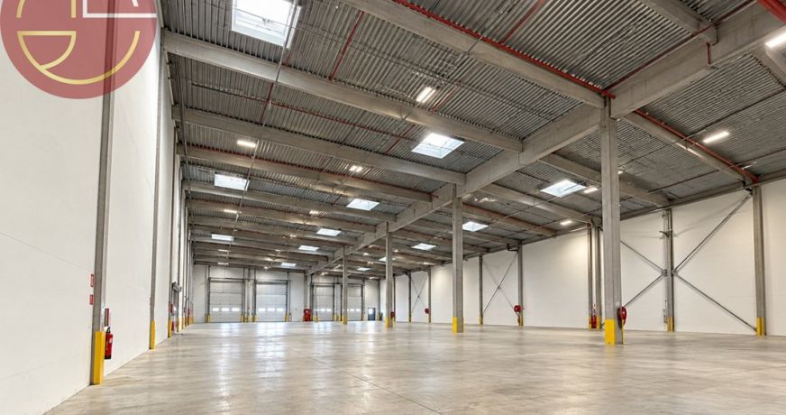 location Entrepot Grisolles