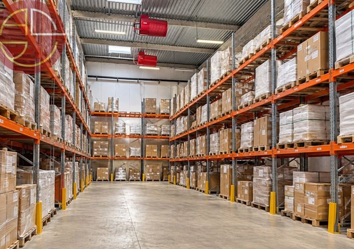 location Entrepot Grisolles
