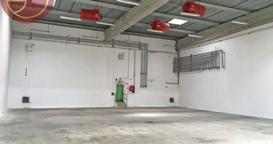 location Entrepot Grisolles