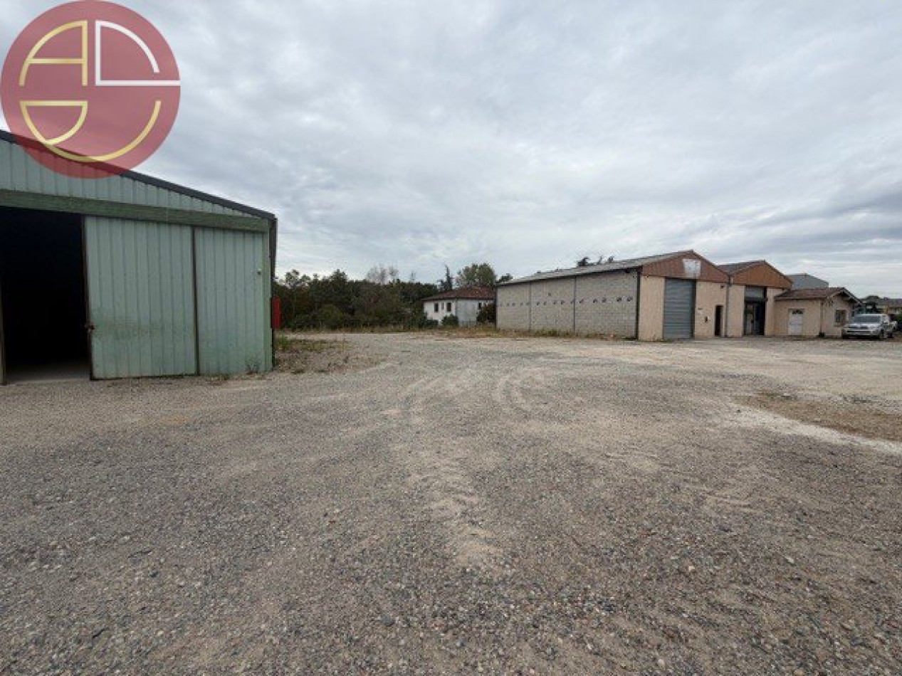 location Entrepot Bouloc - Photo 2