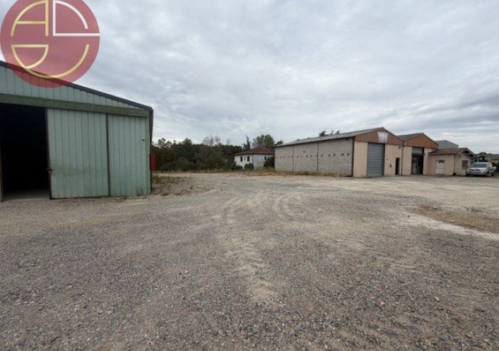 location Entrepot Bouloc