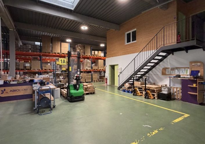 location Entrepot La-salvetat-saint-gilles