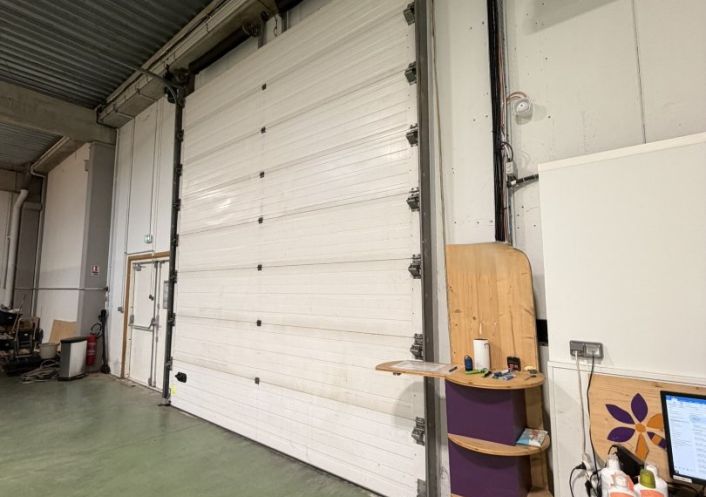 location Entrepot La-salvetat-saint-gilles