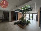 location Entrepot La-salvetat-saint-gilles