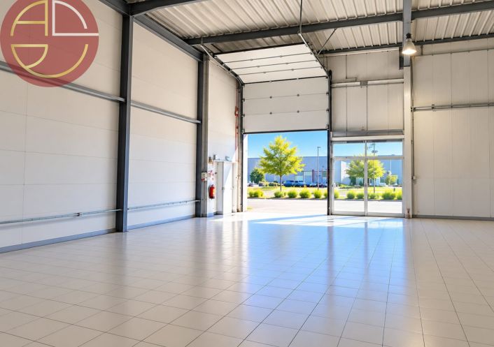 location Local commercial Fenouillet
