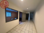 location Local commercial Fenouillet