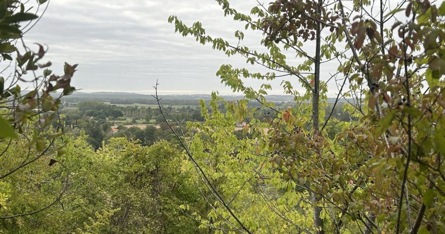 vente Terrain Rabastens