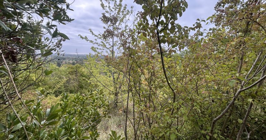 vente Terrain Rabastens