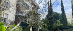 vente Appartement Toulouse