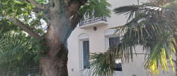 vente Maison Toulouse