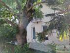 vente Maison Toulouse