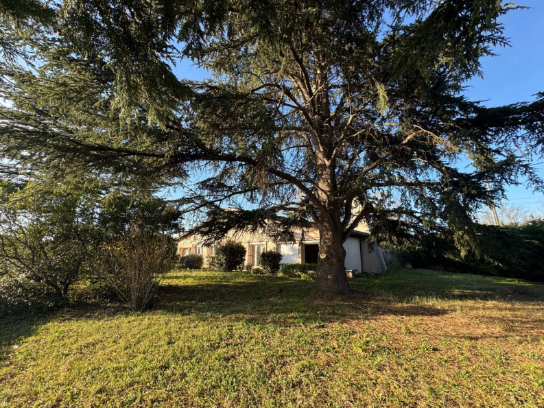 vente Maison Ayguesvives - Photo 1