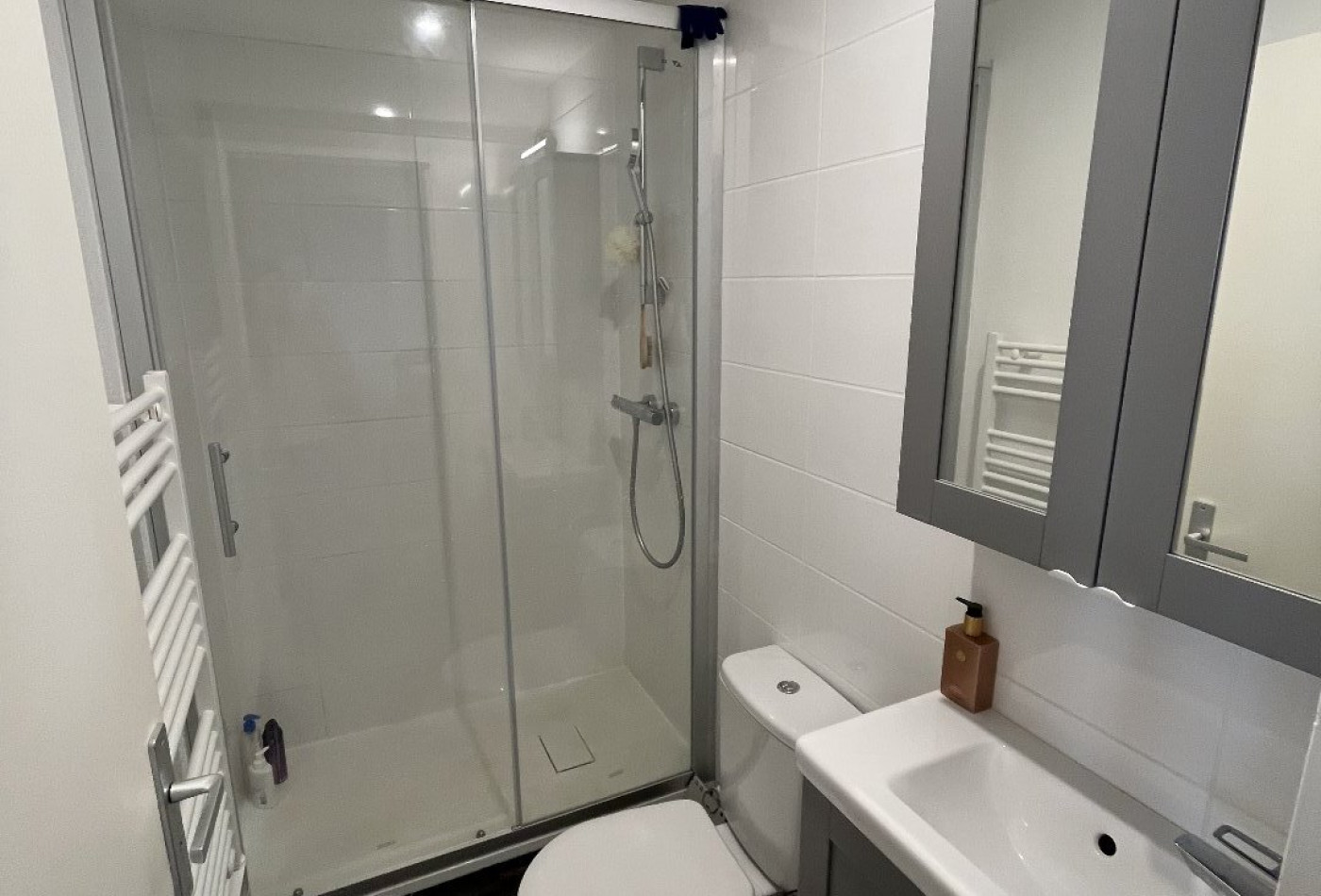 location Appartement Toulouse - Photo 3
