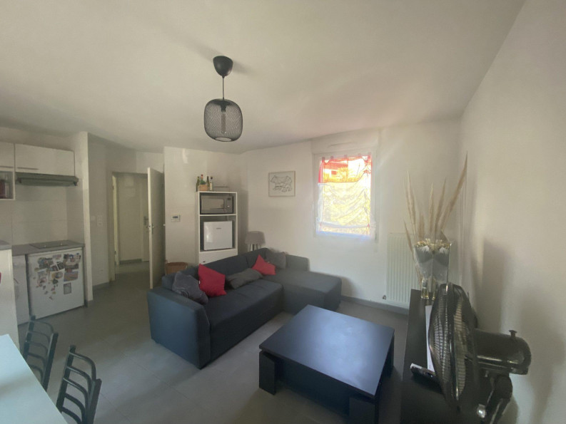 location Appartement Toulouse - Photo 3