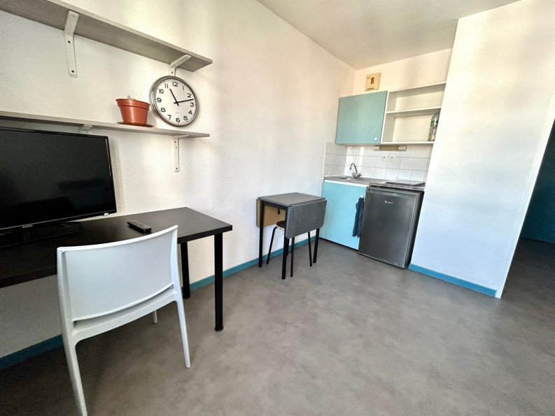 location Appartement Toulouse - Photo 4