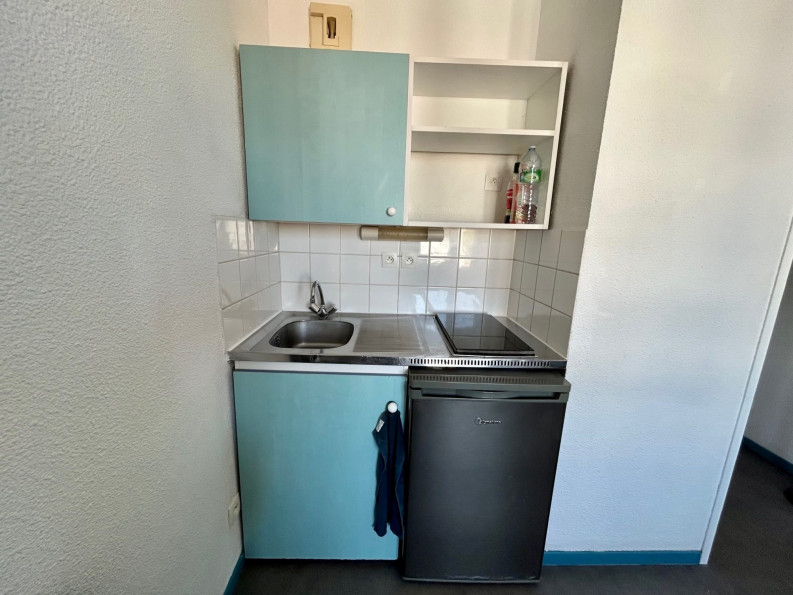 location Appartement Toulouse - Photo 6