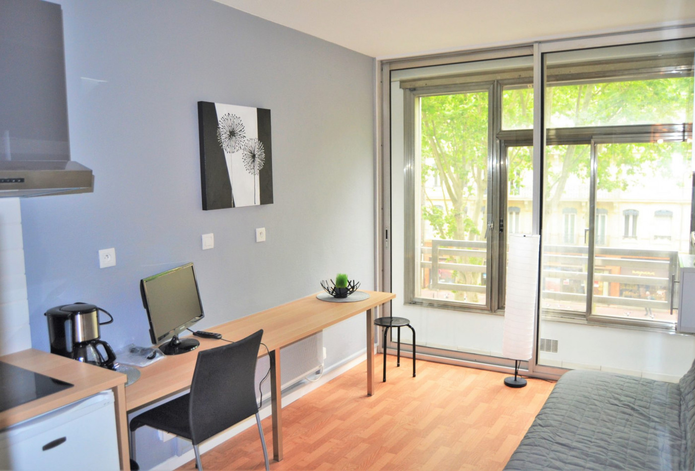 location Appartement Toulouse - Photo 1