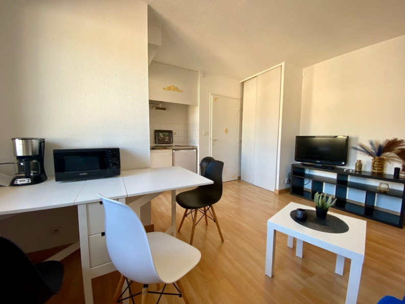 location Appartement Toulouse - Photo 4