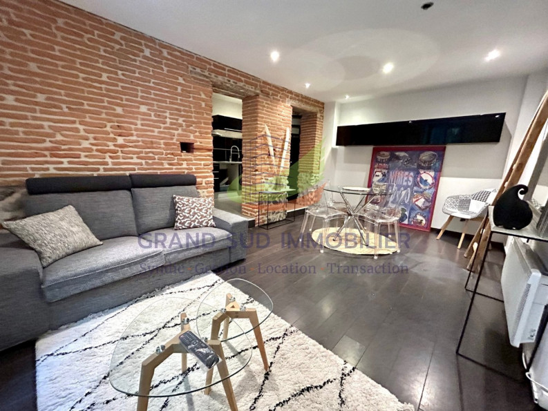 location Maison Toulouse - Photo 1