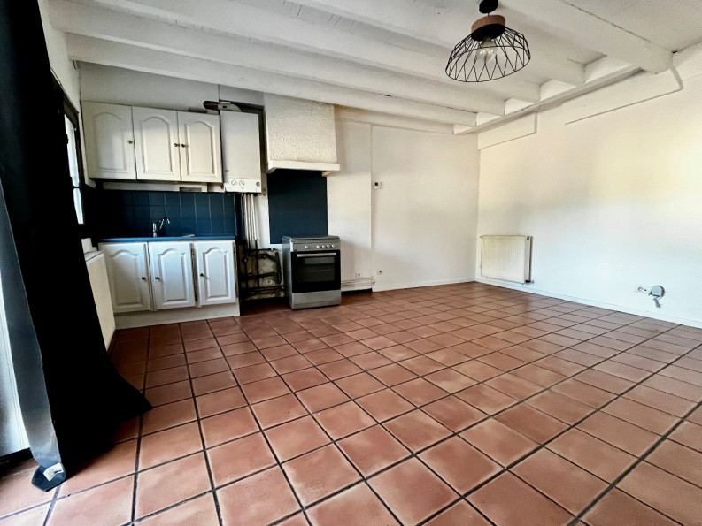 location Maison La-salvetat-saint-gilles - Photo 2