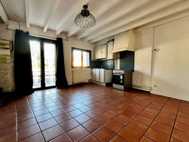 location Maison La-salvetat-saint-gilles - Photo 1