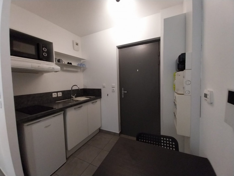 location Appartement Toulouse - Photo 5