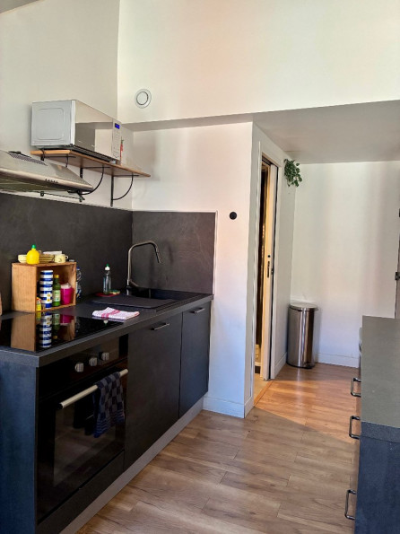 location Appartement Toulouse - Photo 4