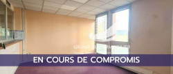 vente Locaux d'activité Toulouse