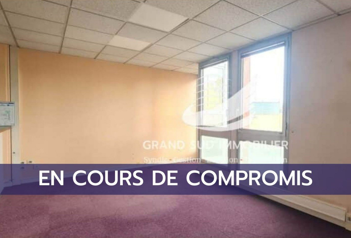 vente Locaux d'activité Toulouse - Photo 1