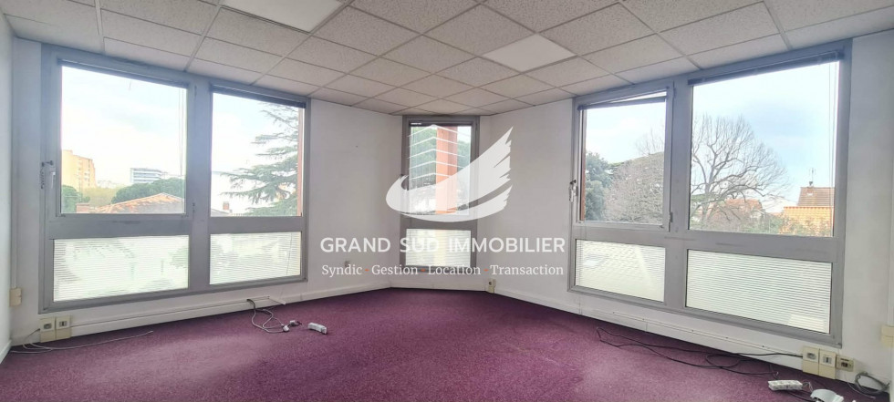 vente Locaux d'activité Toulouse - Photo 4