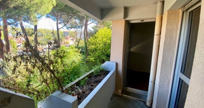 location Appartement Toulouse